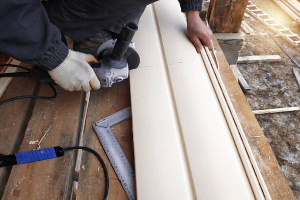Best Custom Siding Design  in El Cerro Mission, NM
